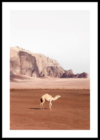 Poster Desert Wanderer