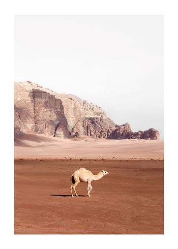 Affiche Desert Wanderer