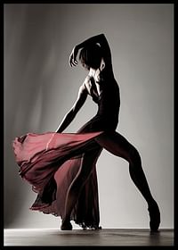 A powerful and elegant silhouette that captures the movement, beauty and passion of dance-2