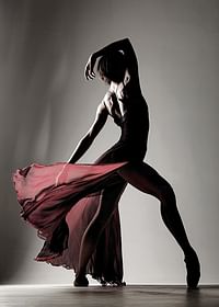 A powerful and elegant silhouette that captures the movement, beauty and passion of dance-3