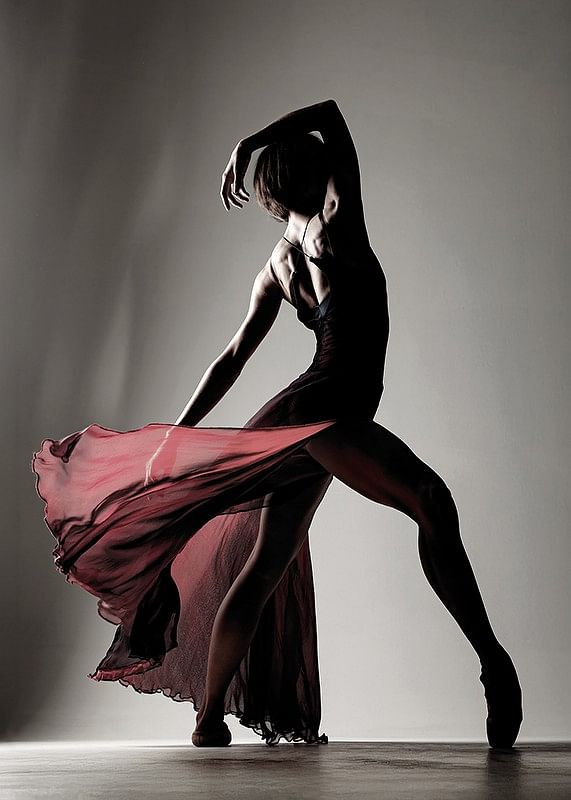 A powerful and elegant silhouette that captures the movement, beauty and passion of dance-12