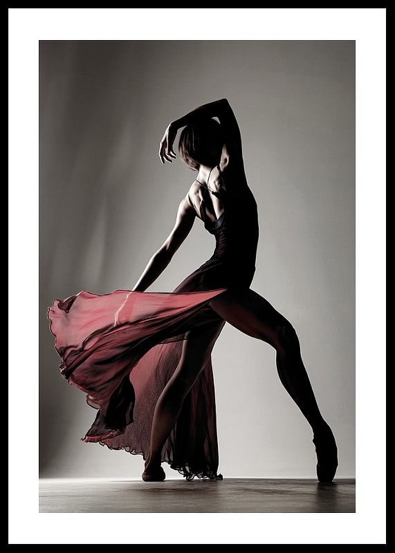 A powerful and elegant silhouette that captures the movement, beauty and passion of dance-12