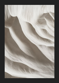 A harmonious depiction of nature's soft lines that convey stillness and timeless beauty-5