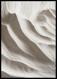 A harmonious depiction of nature's soft lines that convey stillness and timeless beauty-6