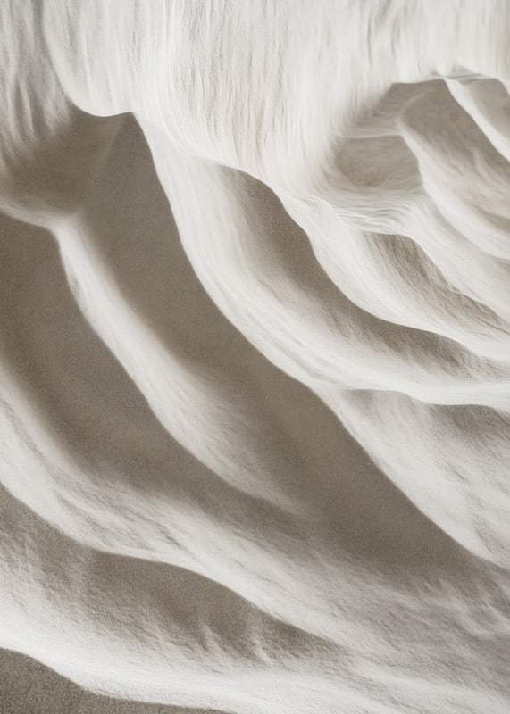 A harmonious depiction of nature's soft lines that convey stillness and timeless beauty-12