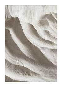 A harmonious depiction of nature's soft lines that convey stillness and timeless beauty-1