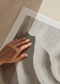 A harmonious depiction of nature's soft lines that convey stillness and timeless beauty-9