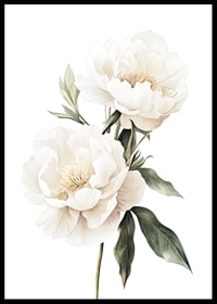 Poster with beautiful white peonies-0