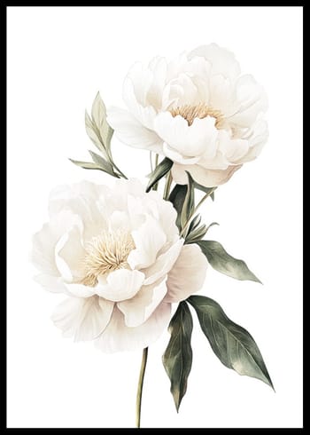Poster Pure Peony Elegance