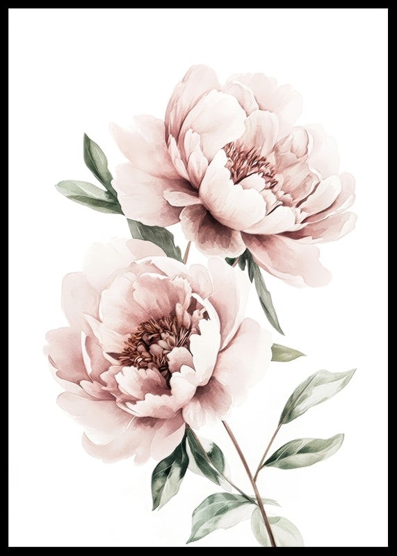 A poster with two beautiful pink peonies-12