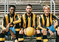 Jubileumströja 06 Hammarby IF-3