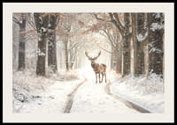 En ståtlig hjort står på en snötäckt skogsväg och utstrålar vintermagi och naturlig elegans.-2