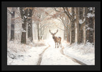 En ståtlig hjort står på en snötäckt skogsväg och utstrålar vintermagi och naturlig elegans.-4