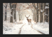 En ståtlig hjort står på en snötäckt skogsväg och utstrålar vintermagi och naturlig elegans.-5
