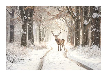 Poster Natures Winter Majesty