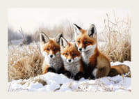 Trois renards curieux sont assis ensemble dans un paysage enneigé et rayonnent d'idylle hivernale et de charme naturel.-3