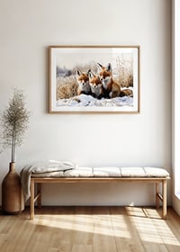 Tre nyfikna rävar sitter tillsammans i ett snötäckt landskap och utstrålar vinteridyll och naturlig charm.-8