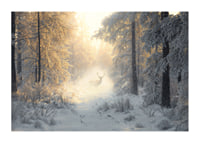 A majestic deer stands in a snow-covered forest, surrounded by golden morning light and winter magic.-1