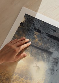 A majestic deer stands in a snow-covered forest, surrounded by golden morning light and winter magic.-9