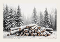 Snötäckta timmerstockar ligger staplade i en fridfull vinterskog omgiven av frostiga granar.-3