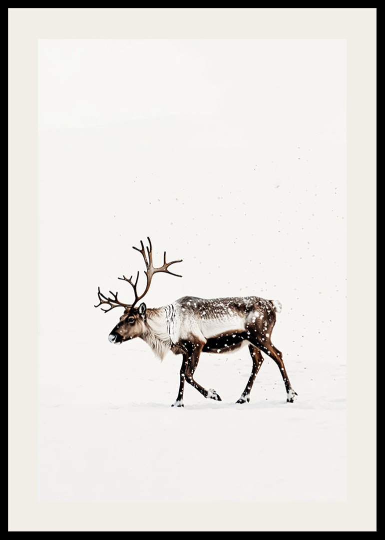 En ensam ren vandrar genom ett snöigt landskap och utstrålar nordisk vinterro och elegans.-12