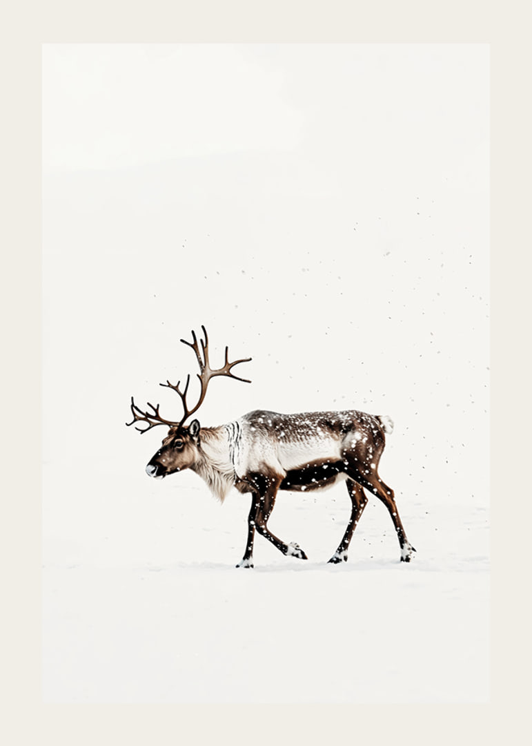 En ensam ren vandrar genom ett snöigt landskap och utstrålar nordisk vinterro och elegans.-12
