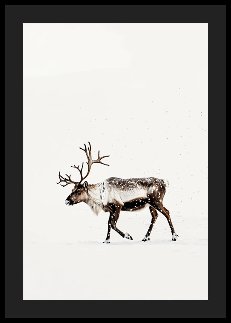 En ensam ren vandrar genom ett snöigt landskap och utstrålar nordisk vinterro och elegans.-12