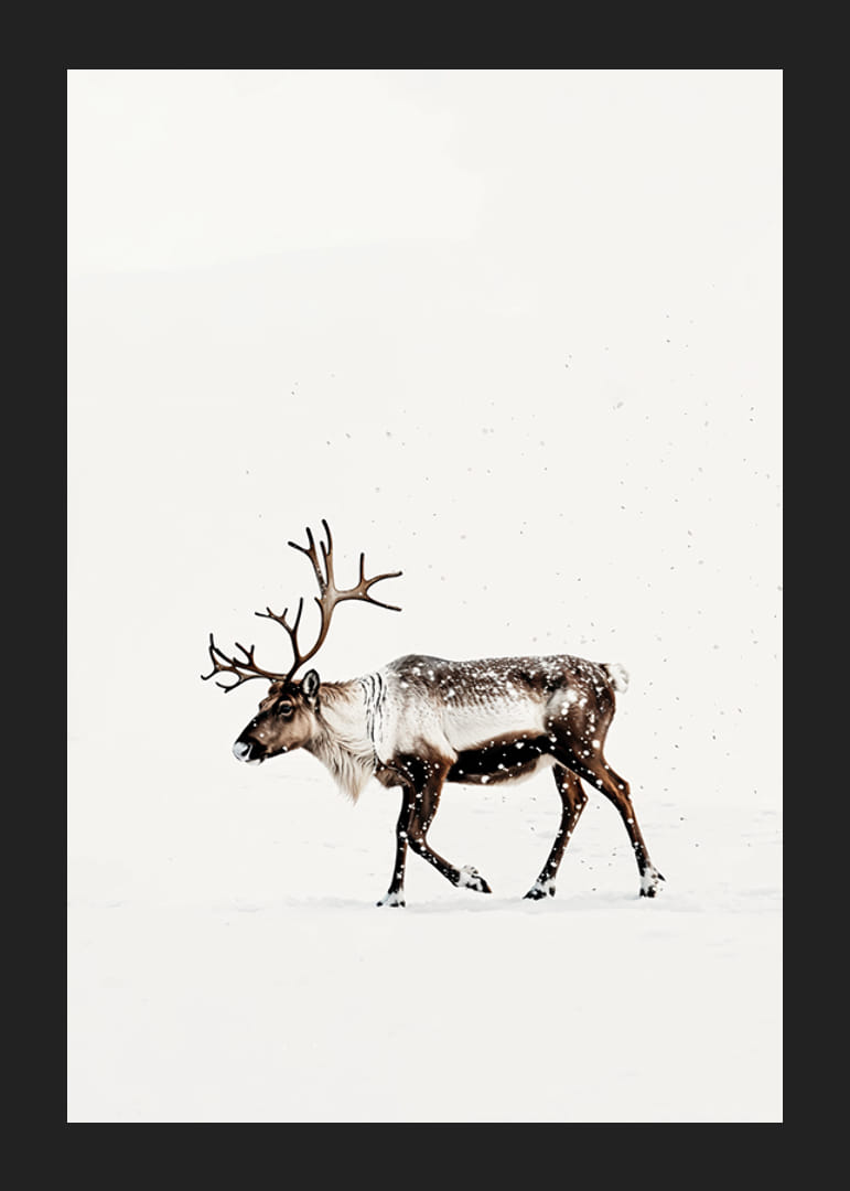 En ensam ren vandrar genom ett snöigt landskap och utstrålar nordisk vinterro och elegans.-12