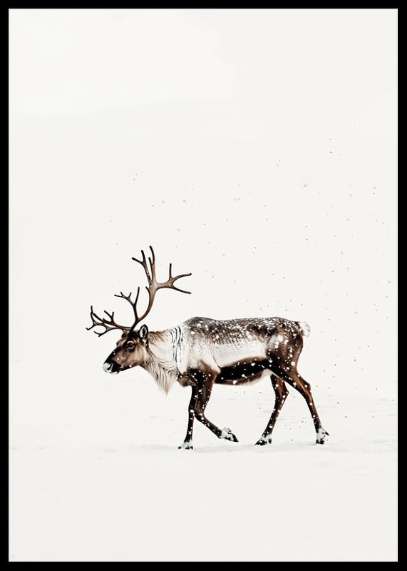En ensam ren vandrar genom ett snöigt landskap och utstrålar nordisk vinterro och elegans.-12