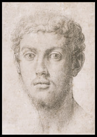 Hoofd van een man door Agnolo Bronzino-4