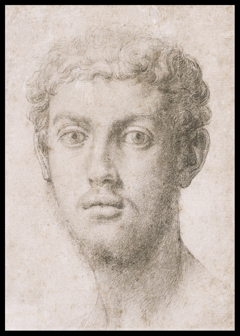 Hoofd van een man door Agnolo Bronzino-12
