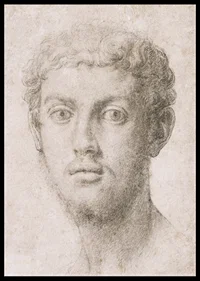 Head Of A Man By Agnolo Bronzino-4