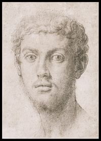 Hlava muža od Agnolo Bronzino-2