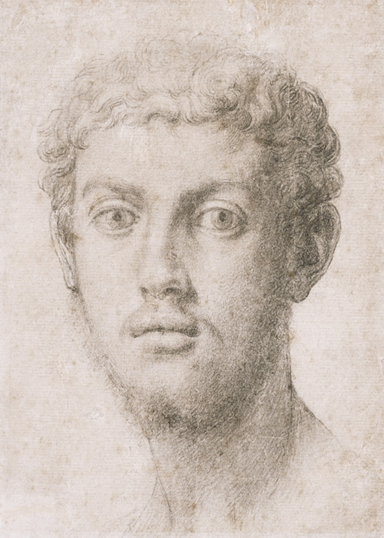 Hoofd van een man door Agnolo Bronzino-12