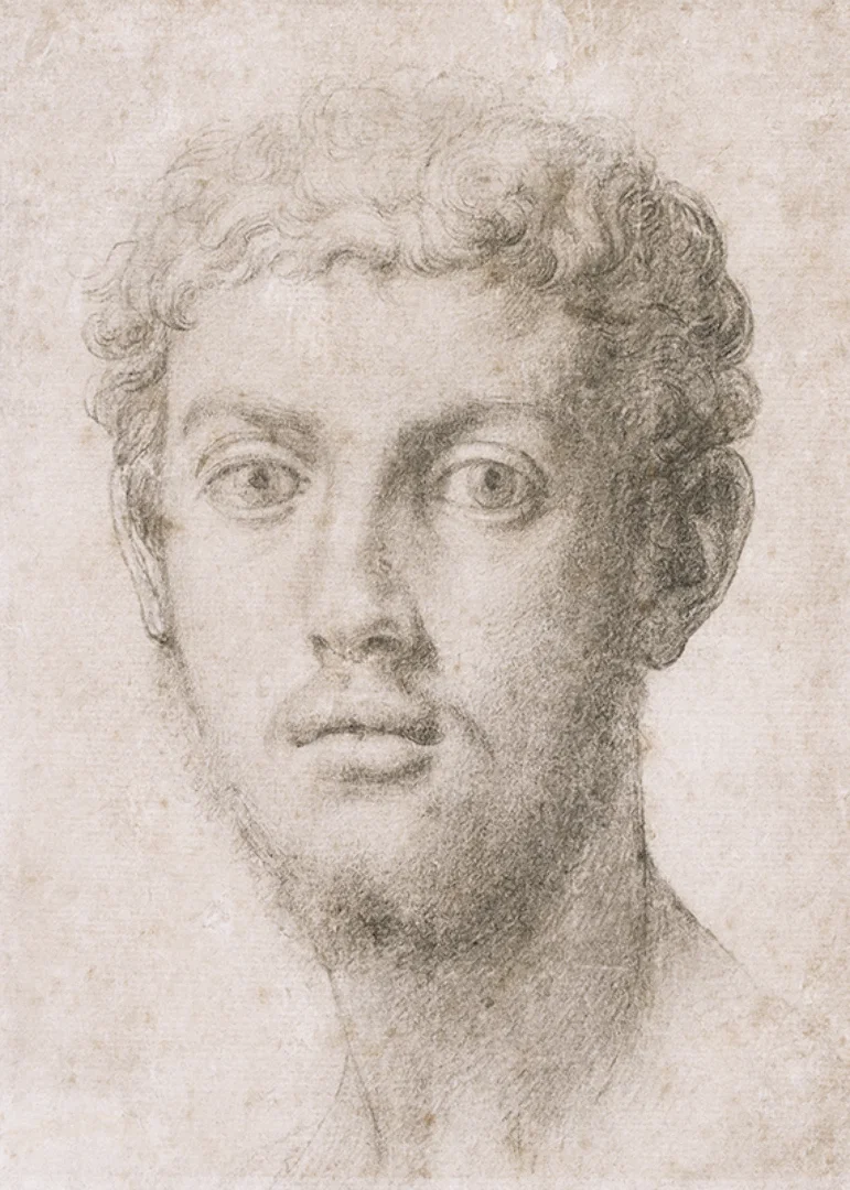 Head Of A Man By Agnolo Bronzino-12