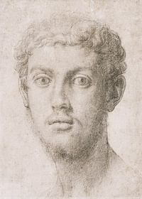 Hlava muža od Agnolo Bronzino-3