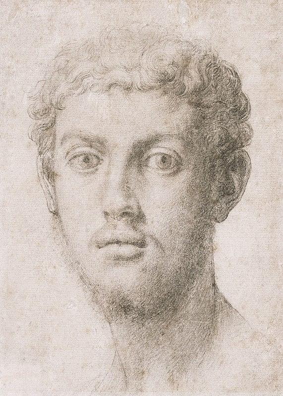 Hlava muža od Agnolo Bronzino-12