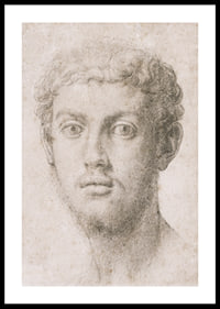 Hoofd van een man door Agnolo Bronzino-2