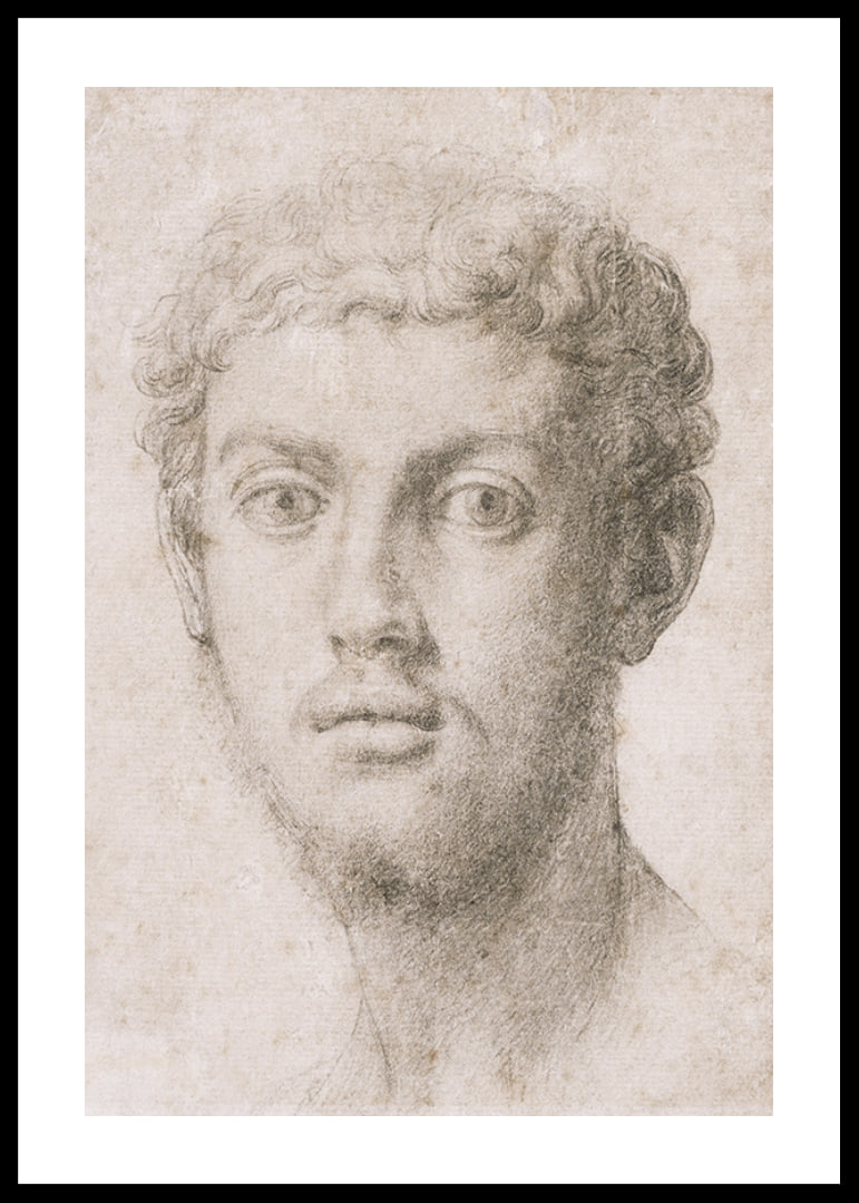 Hoofd van een man door Agnolo Bronzino-12
