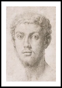 Head Of A Man By Agnolo Bronzino-2