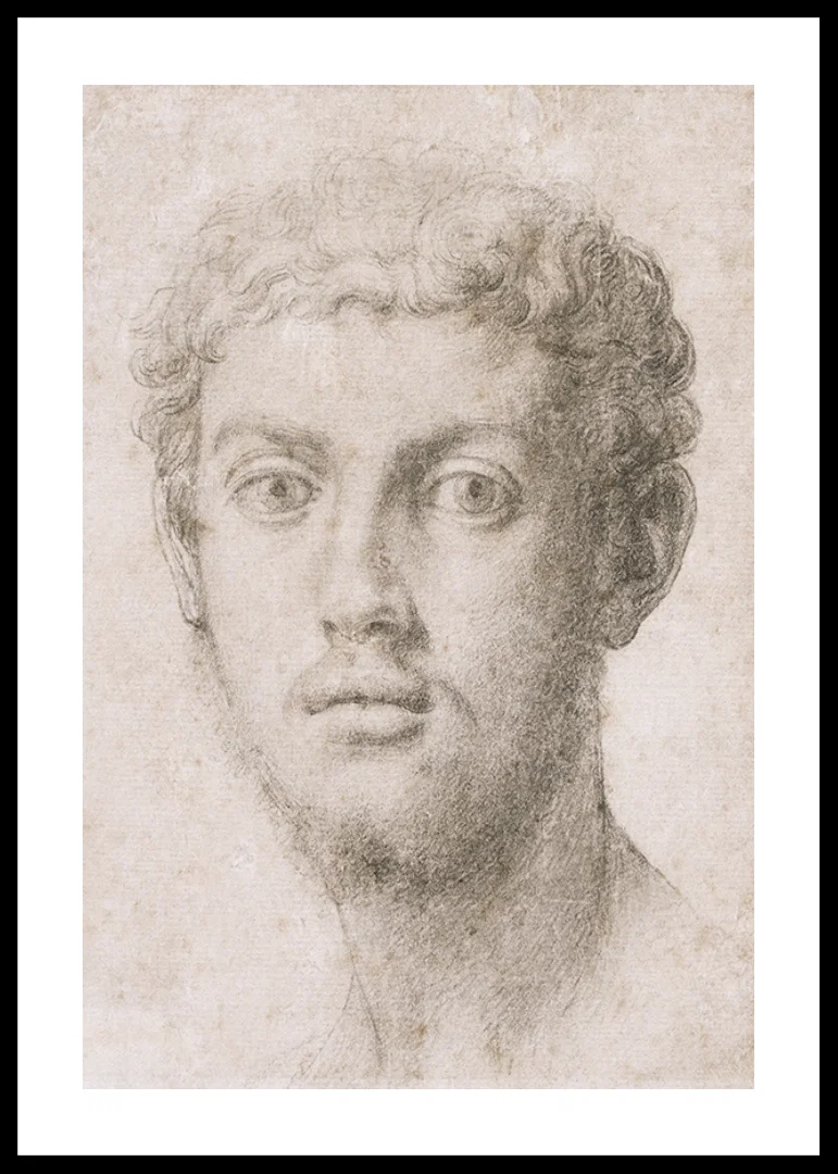 Head Of A Man By Agnolo Bronzino-12