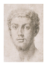 Hoofd van een man door Agnolo Bronzino-3