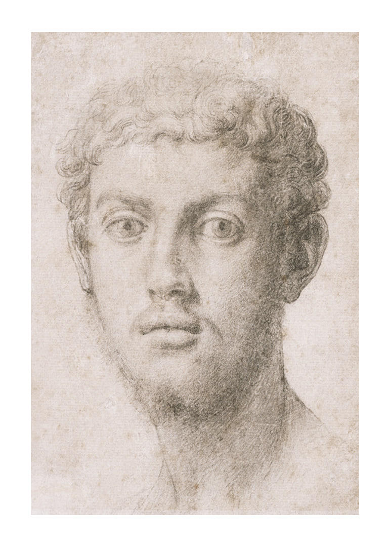 Hoofd van een man door Agnolo Bronzino-12