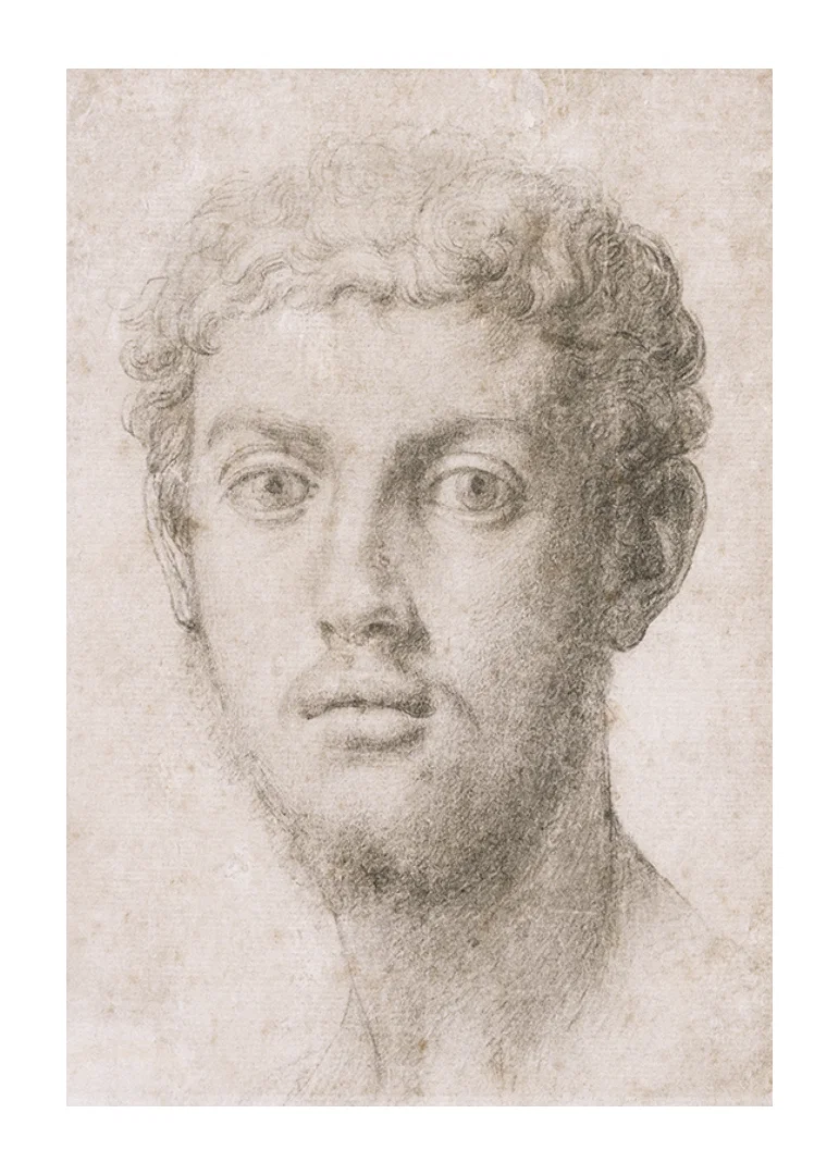 Head Of A Man By Agnolo Bronzino-12