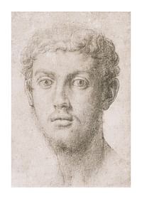 Hlava muža od Agnolo Bronzino-1