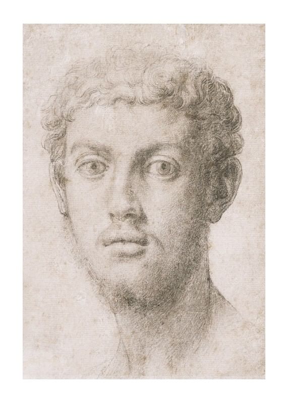Hlava muža od Agnolo Bronzino-12