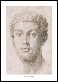 Hoofd van een man door Agnolo Bronzino-0