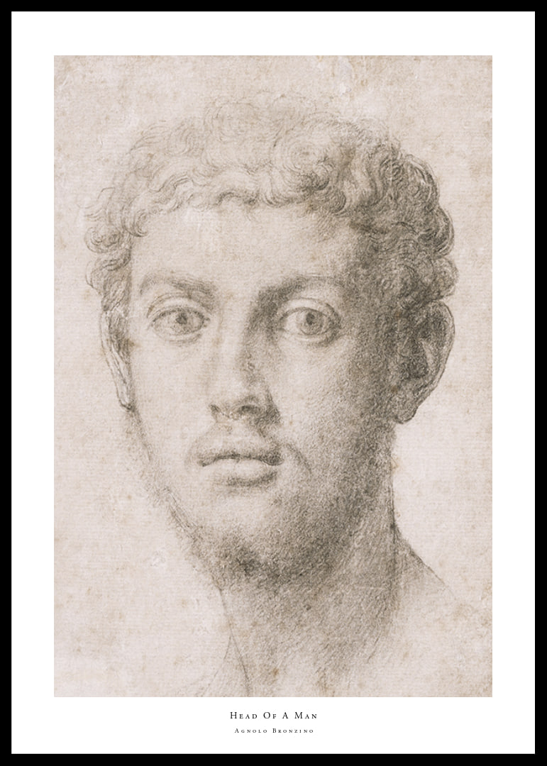 Hoofd van een man door Agnolo Bronzino-12