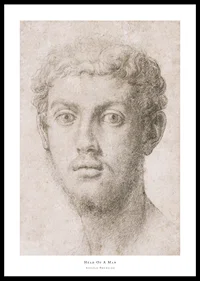 Head Of A Man By Agnolo Bronzino-0