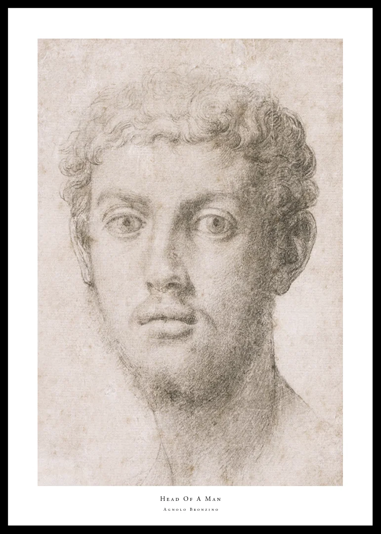 Head Of A Man By Agnolo Bronzino-12